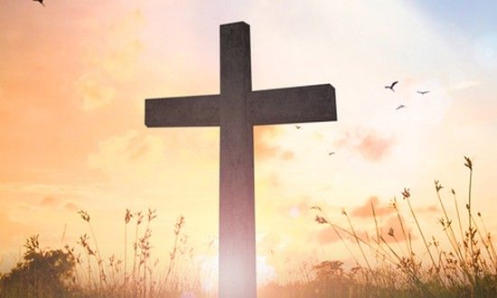 رجاؤنا الوحيد