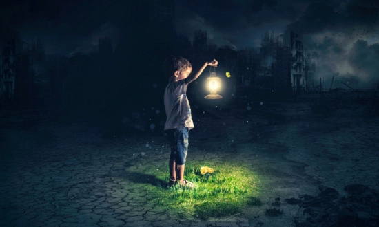 النّور في نافذتي