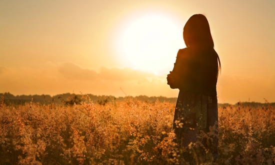 الإساءة... الكراهية... كثرة الإنتقاد 2